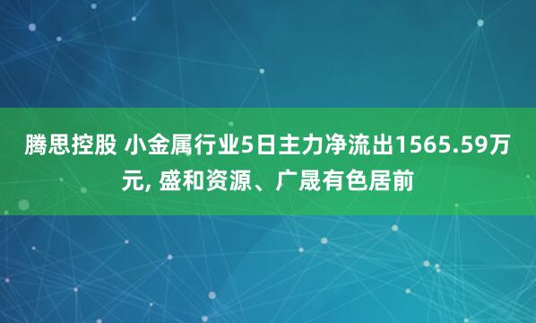 腾思控股 小金属行业5日主力净流出1565.59万元, 盛和资源、广晟有色居前