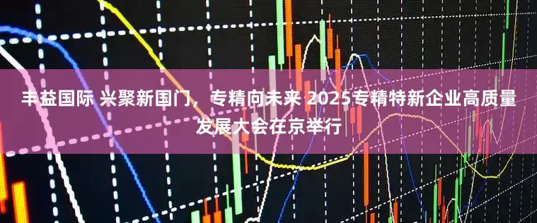 丰益国际 兴聚新国门,专精向未来 2025专精特新企业高质量发展大会在京举行