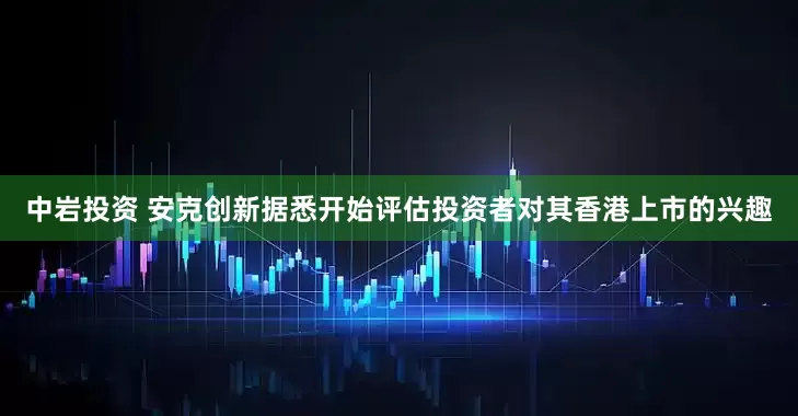 中岩投资 安克创新据悉开始评估投资者对其香港上市的兴趣